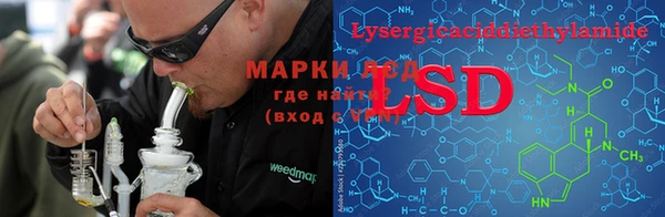 стаф Вяземский