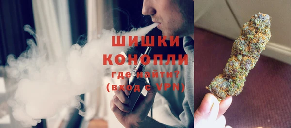 стаф Вяземский
