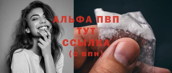стаф Вяземский
