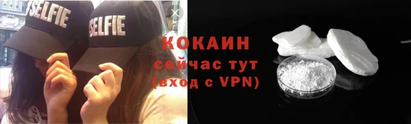 стаф Вяземский
