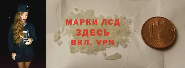 стаф Вяземский