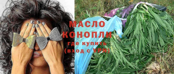 стаф Вяземский