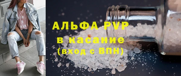 стаф Вяземский