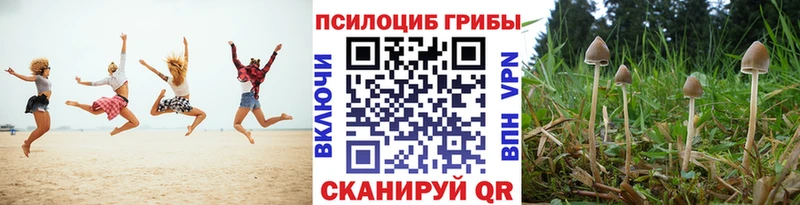 Купить закладки  Большой Камень  Псилоцибиновые грибы Magic Shrooms 